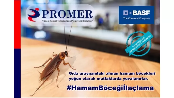 kadıköy hamam böceği ilaçlama