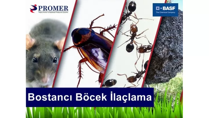 bostancı böcek ilaçlama