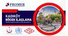 kadıköy böcek ilaçlama