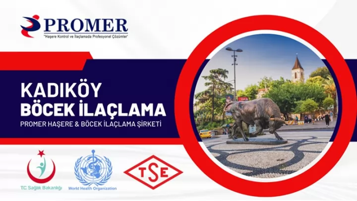 kadıköy böcek ilaçlama