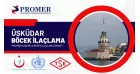 üsküdar böcek İlaçlama