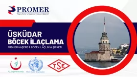 üsküdar böcek İlaçlama