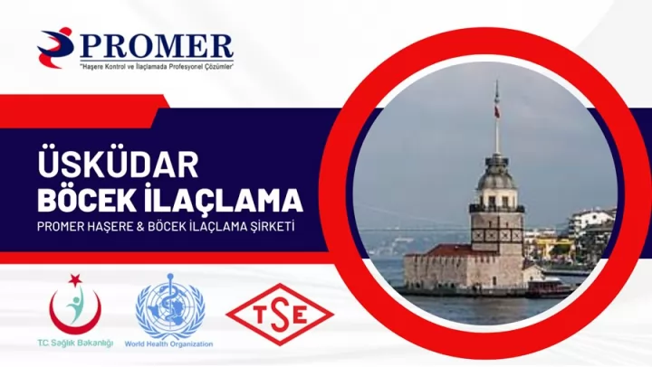 üsküdar böcek İlaçlama