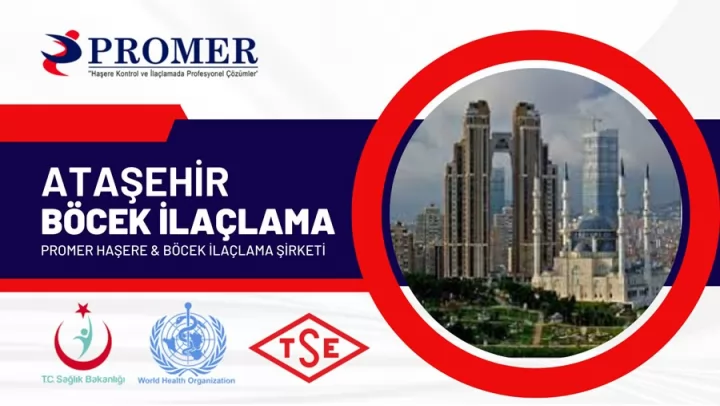 ataşehir böcek ilaçlama