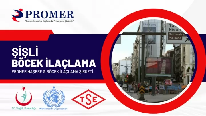 şişli böcek ilaçlama