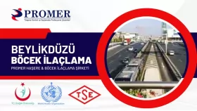 Beylikdüzü böcek ilaçlama