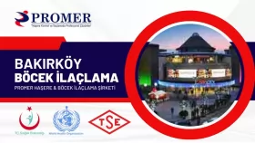 bakırköy böcek ilaçlama