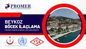 beykoz böcek ilaçlama
