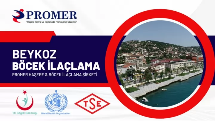beykoz böcek ilaçlama