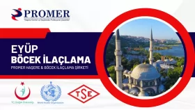 eyüp böcek ilaçlama