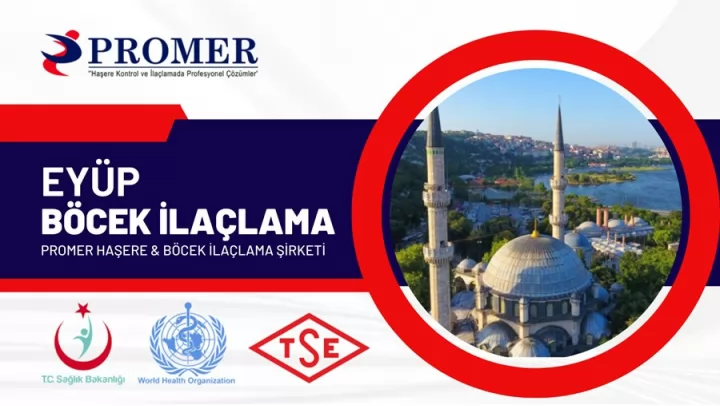 eyüp böcek ilaçlama