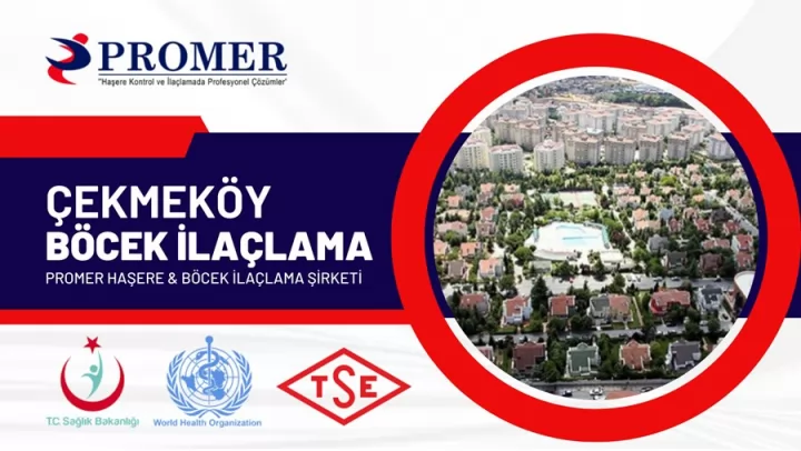 çekmeköy böcek ilaçlama