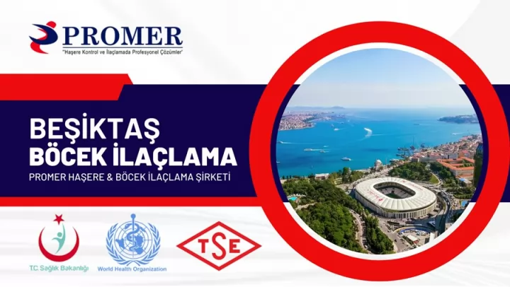 beşiktaş böcek ilaçlama