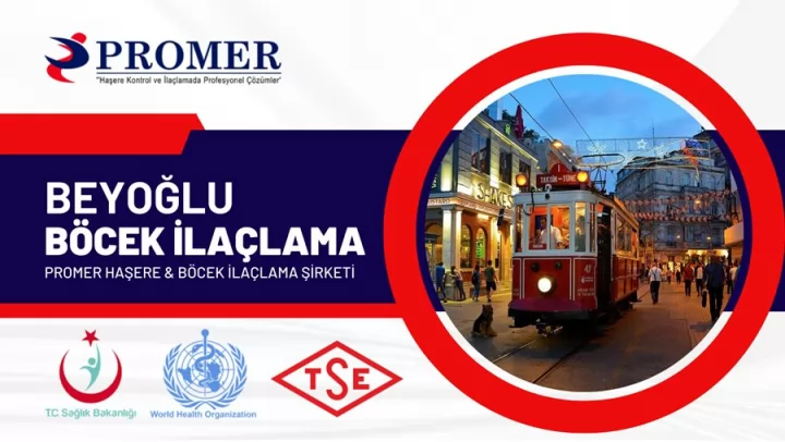 beyoğlu böcek ilaçlama