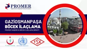 gaziosmanpaşa böcek ilaçlama