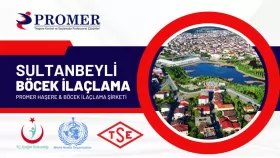 sultanbeyli böcek ilaçlama