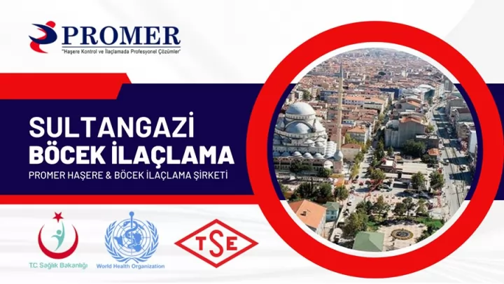 sultangazi böcek ilaçlama