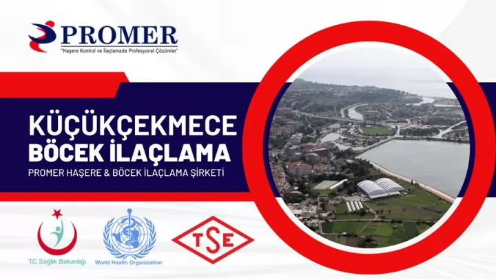 küçükçekmece böcek ilaçlama