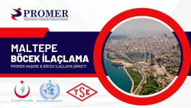 maltepe böcek ilalama