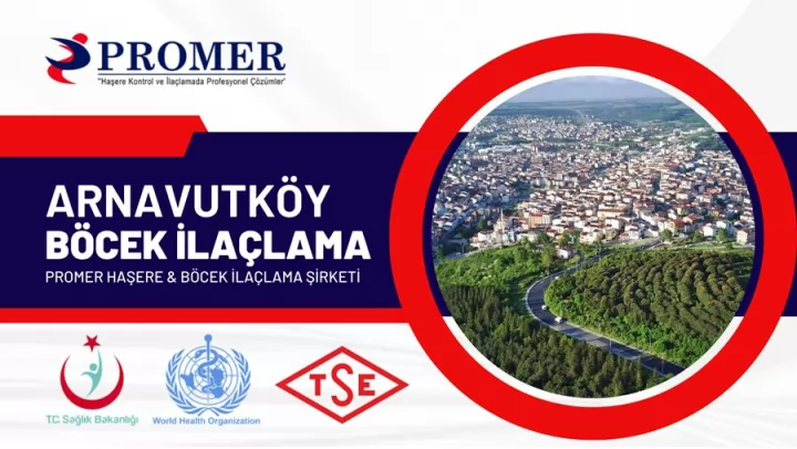 arnavutköy böcek ilaçlama