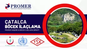 çatalca böcek ilaçlama