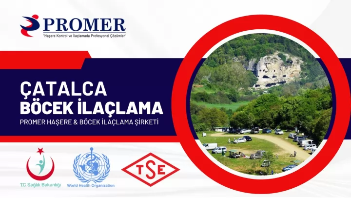 çatalca böcek ilaçlama