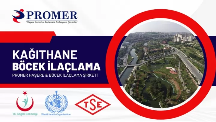 kağıthane böcek ilaçlama