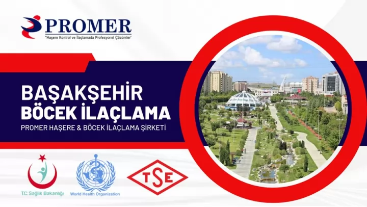 başakşehir böcek ilaçlama