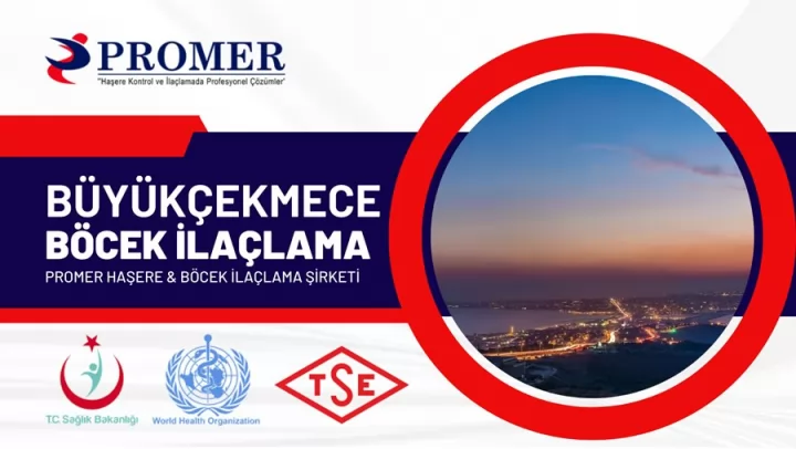 büyükçekmece böcek ilaçlama