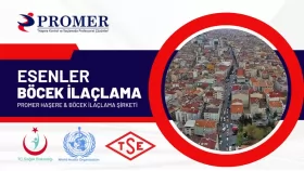 esenler böcek ilaçlama
