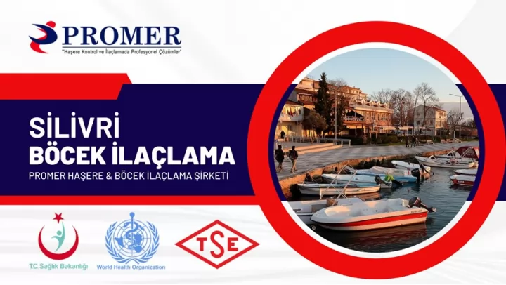 silivri böcek ilaçlama