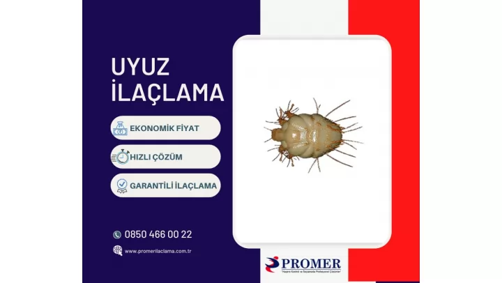 uyuz böceği ilaçlama