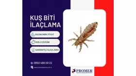 kuş biti ilaçlama
