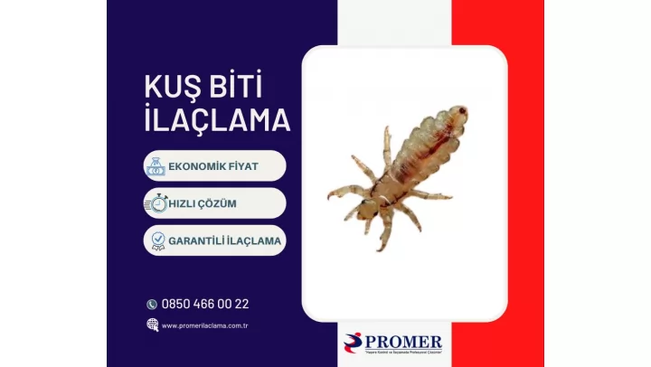 kuş biti ilaçlama
