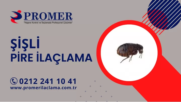 şişli pire ilaçlama