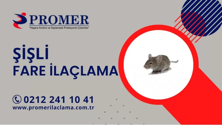 şişli fare ilaçlama