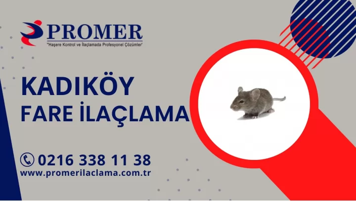 kadıköy fare ilaçlama