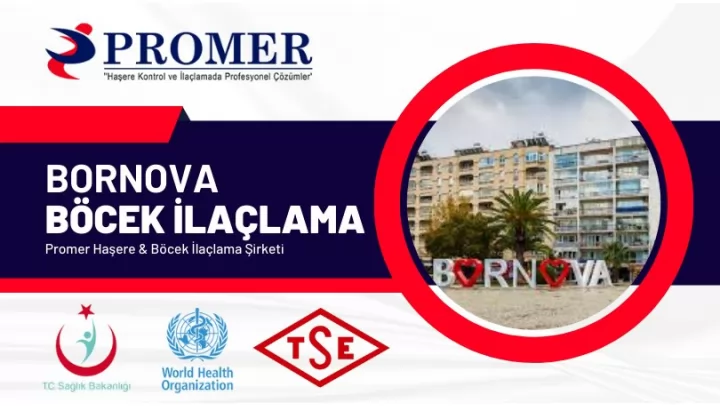 Bornova Böcek İlaçlama