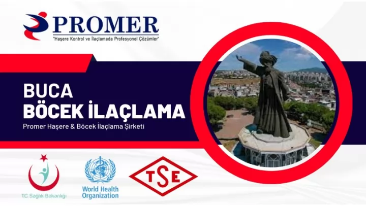 Buca Böcek İlaçlama