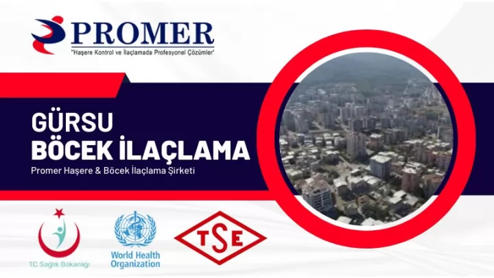 Gürsu böcek ilaçlama