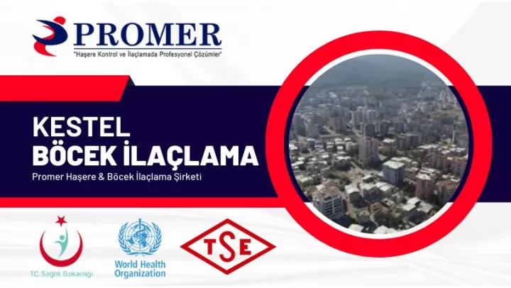 Kestel böcek ilaçlama
