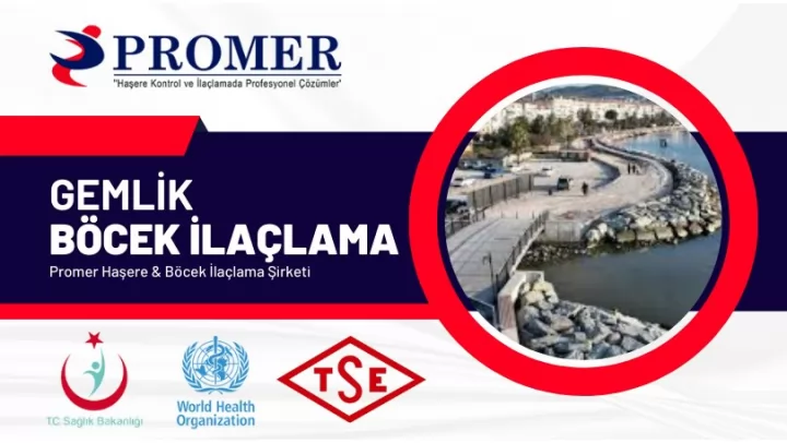 Gemlik böcek ilaçlama