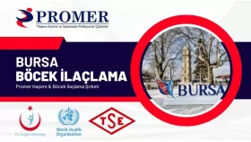 Bursa Böcek İlaçlama