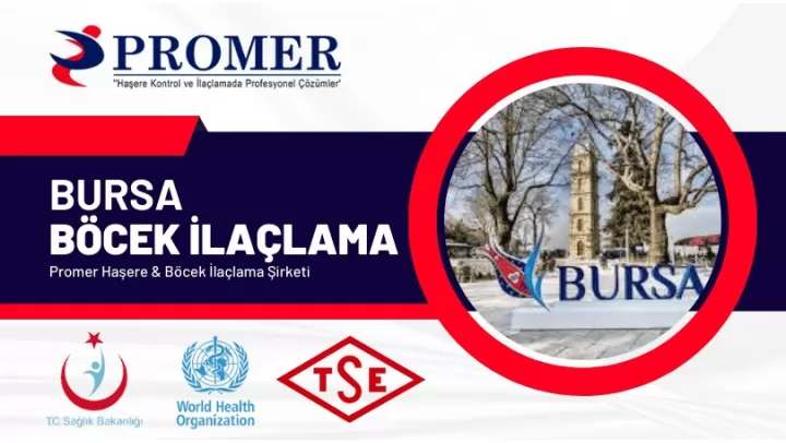 Bursa Böcek İlaçlama