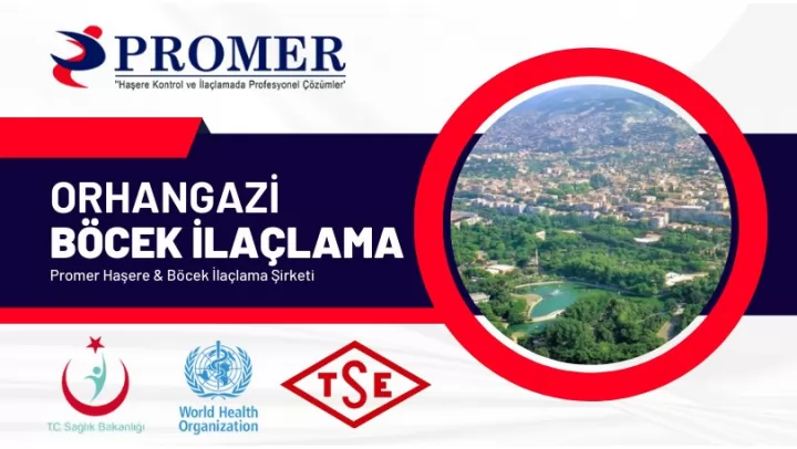 Orhangazi Böcek İlaçlama