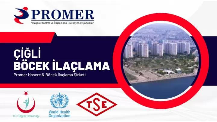 Çiğli Böcek İlaçlama