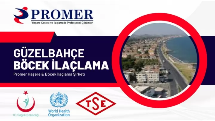 Güzelbahçe Böcek İlaçlama