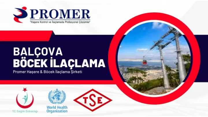 balçova böcek ilaçlama