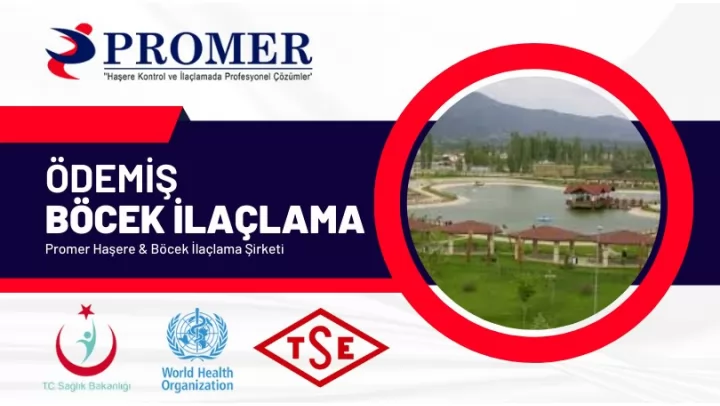 Ödemiş Böcek İlaçlama