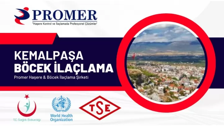 kemalpaşa böcek ilaçlama